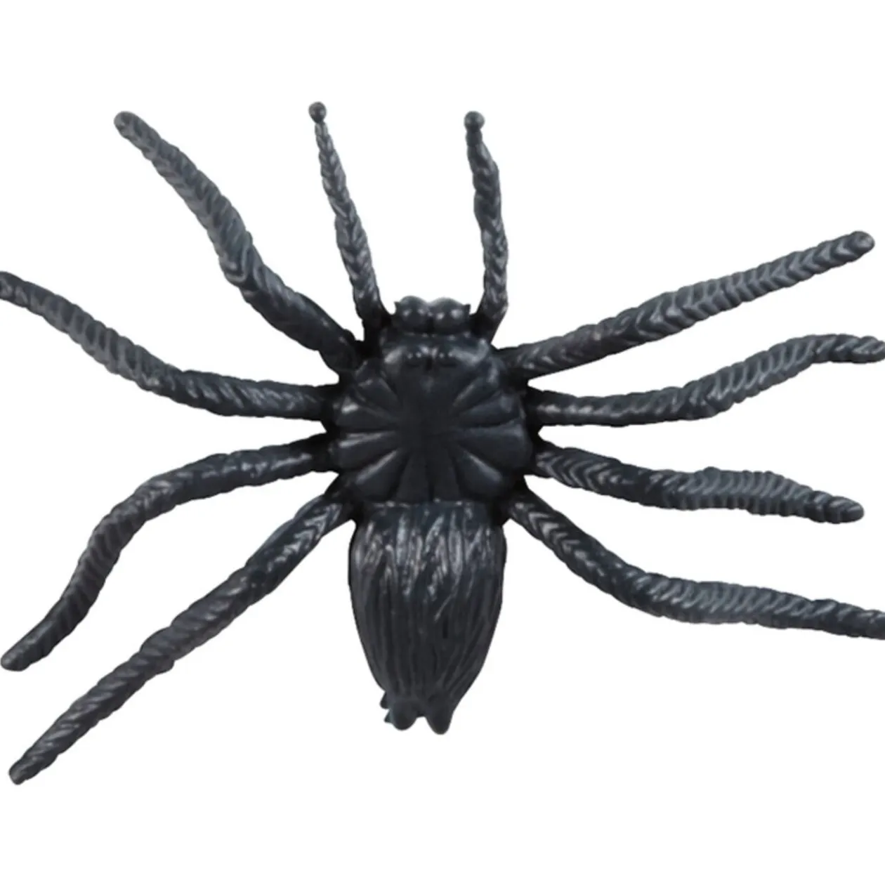 Animaux effrayants Halloween x50