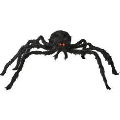 Araignée noire Halloween