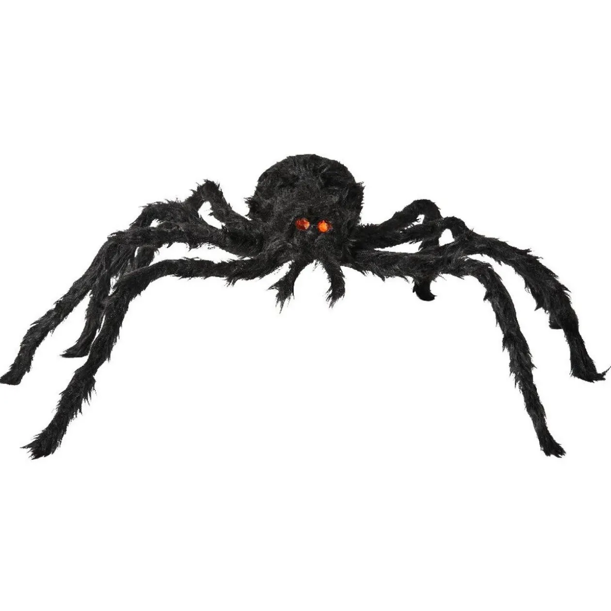 Araignée noire Halloween