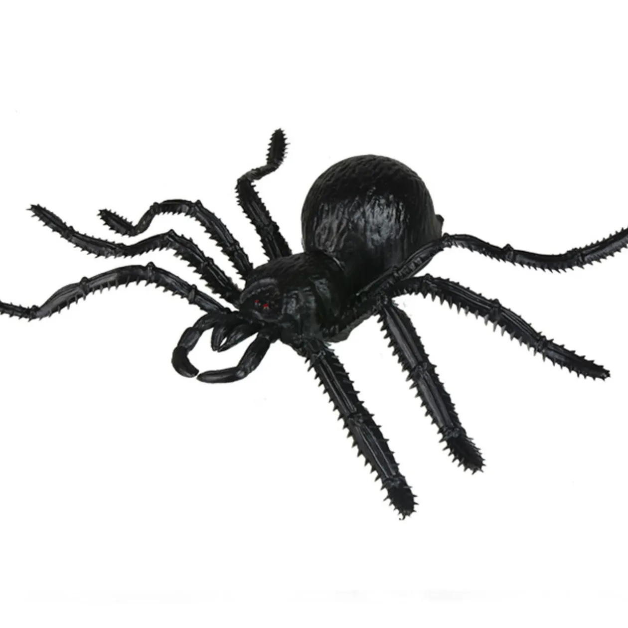 Araignée noire Halloween x2