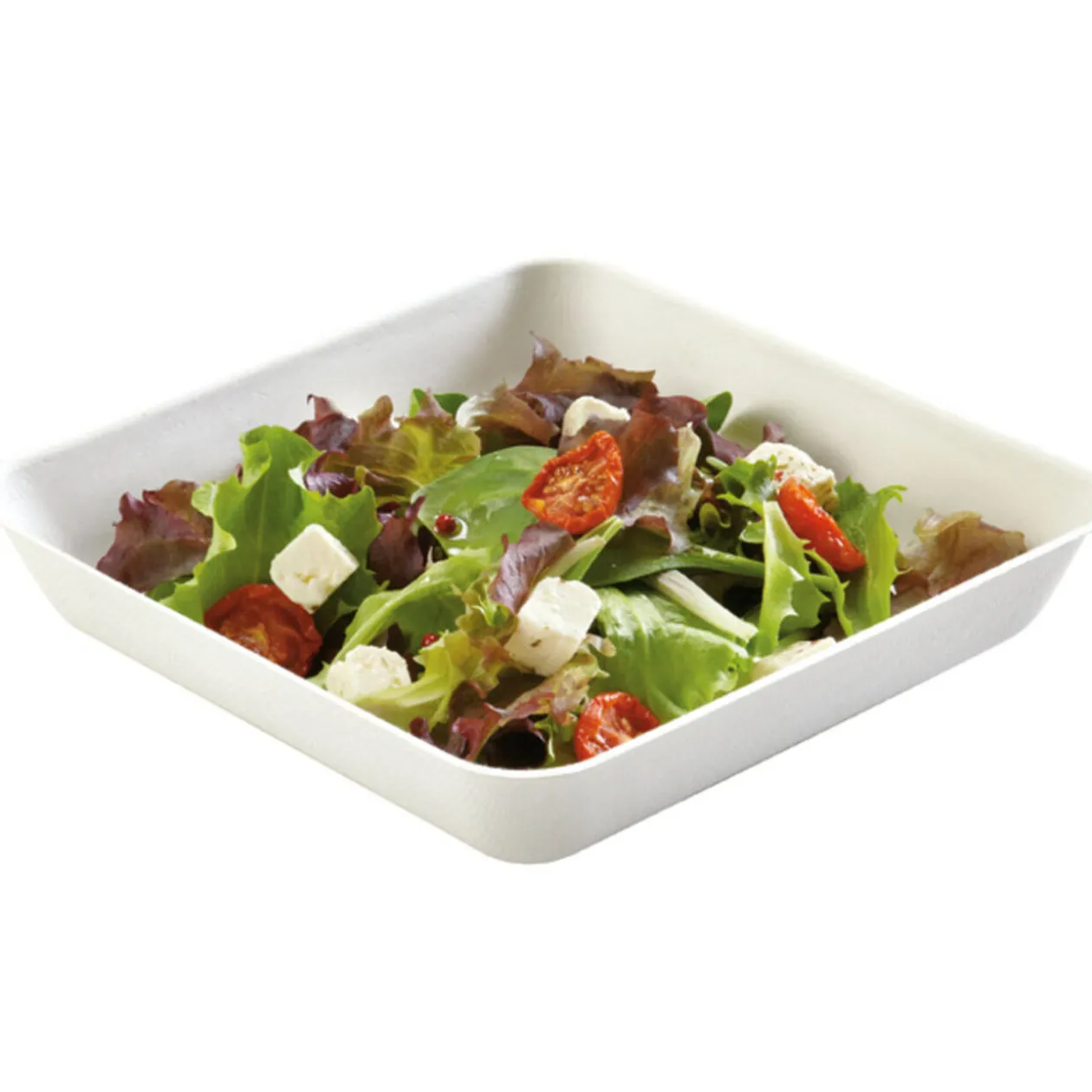 Assiette avec couvercle jetable x4