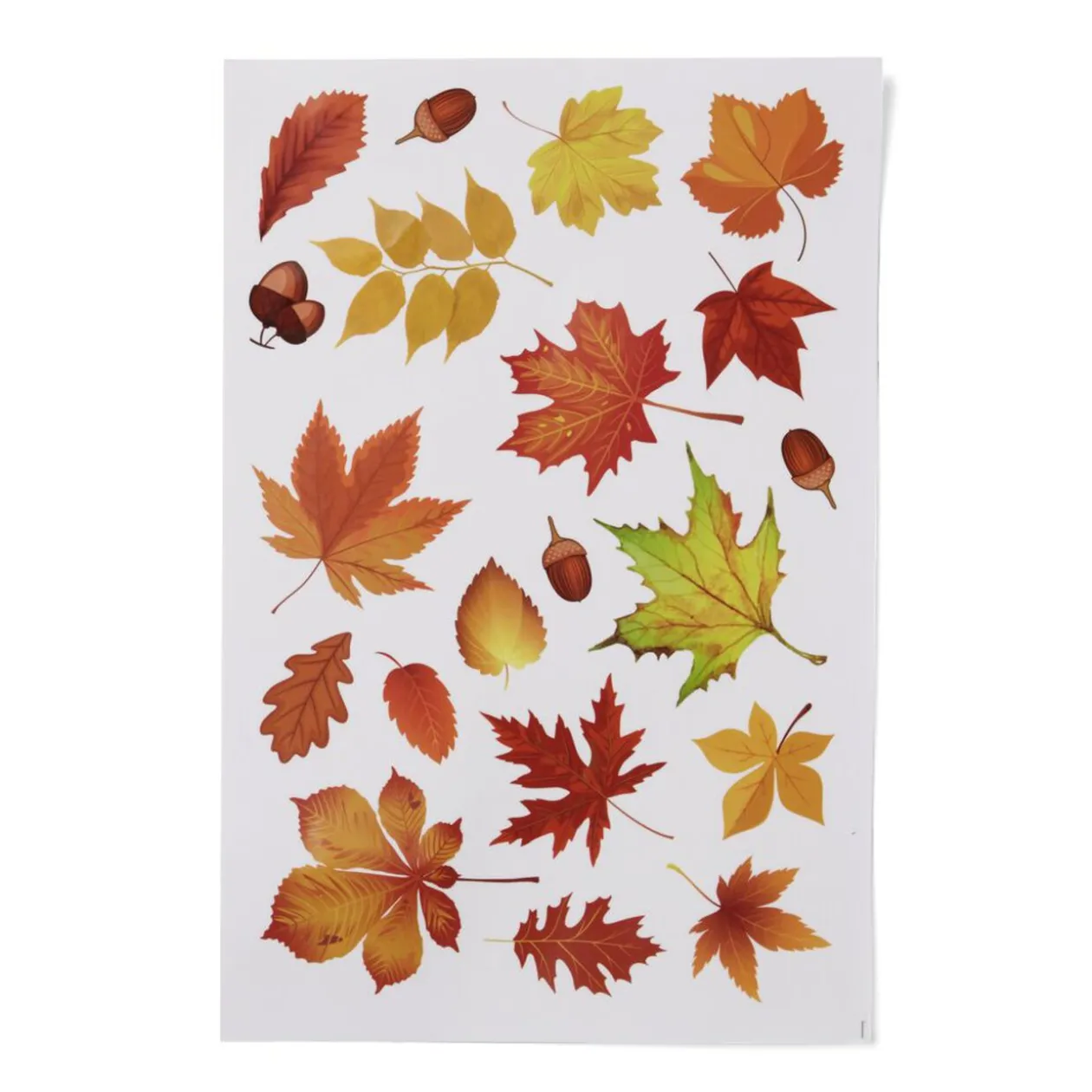 Autocollants Halloween pour fenêtre