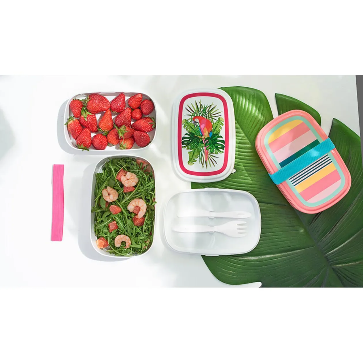 Bento lunch box plastique bayadère