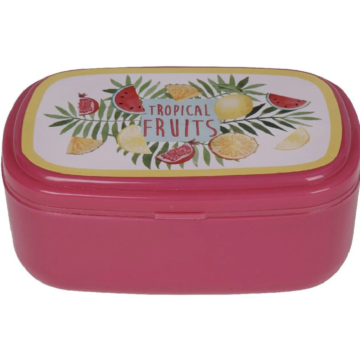 Bento rose décor fruits exotiques multicolores