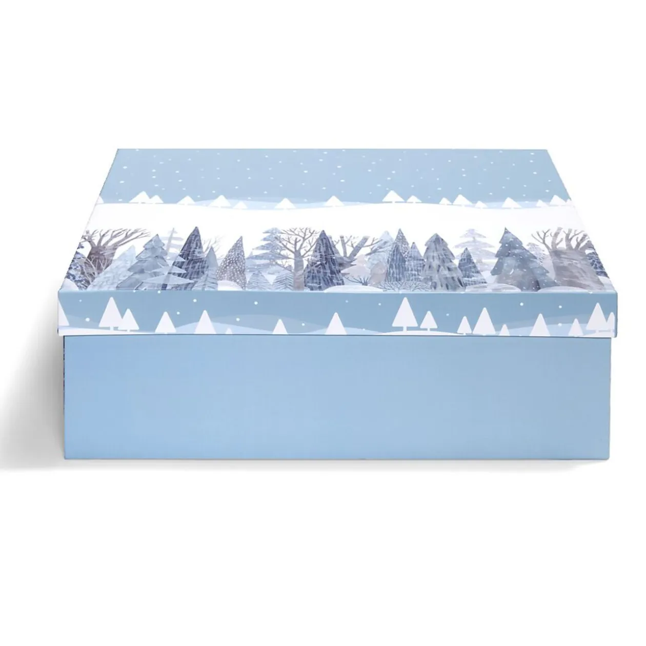 Boîte à cadeau rectangulaire 32x24xH11,2cm - 2 modèles