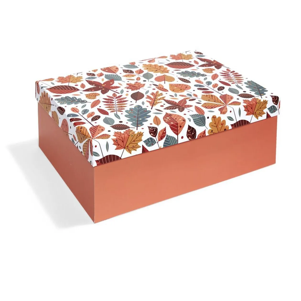 Boîte à cadeau rectangulaire 32x24xH11,2cm - 2 modèles