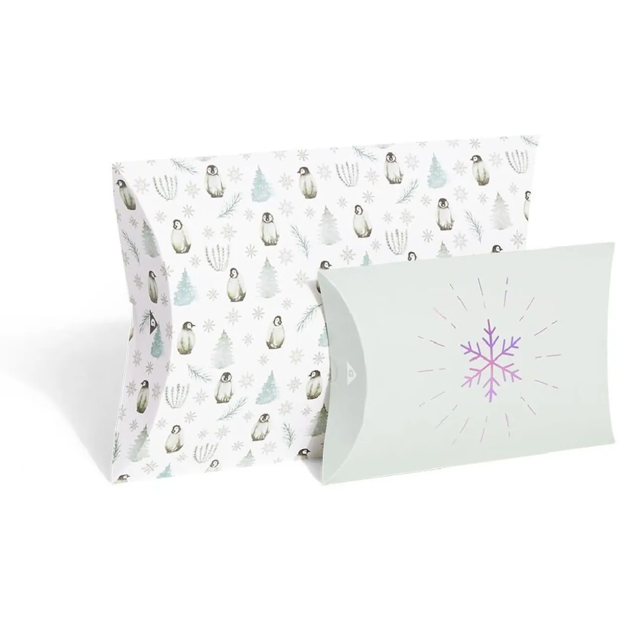 Boîte cadeau berlingot Noël motif pingouin x2