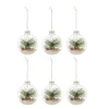 Boule de Noël en verre transparent x6