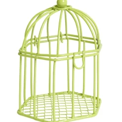 Cage à dragées verte anis x2
