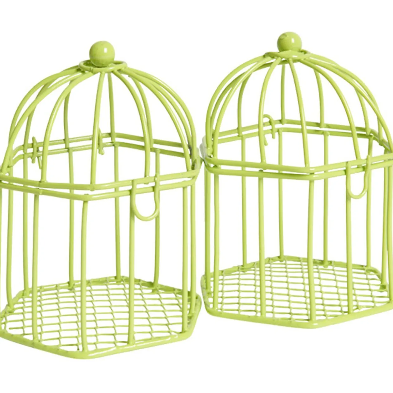 Cage à dragées verte anis x2