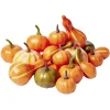 Citrouille pomme pin gland décoratif Halloween x42