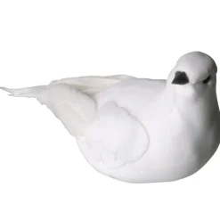 Colombe à fixer mariage