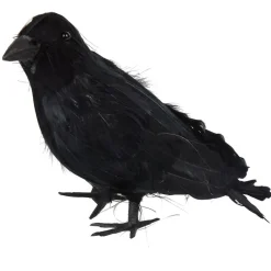 Corbeau noir Halloween à poser