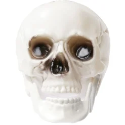 Crâne déco Halloween blanc x6