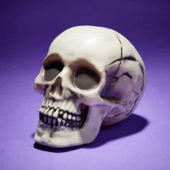Crâne décoration Halloween 19x15xH16cm