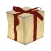 Décoration cadeau lumineux 8 LED blanc chaud H23 cm