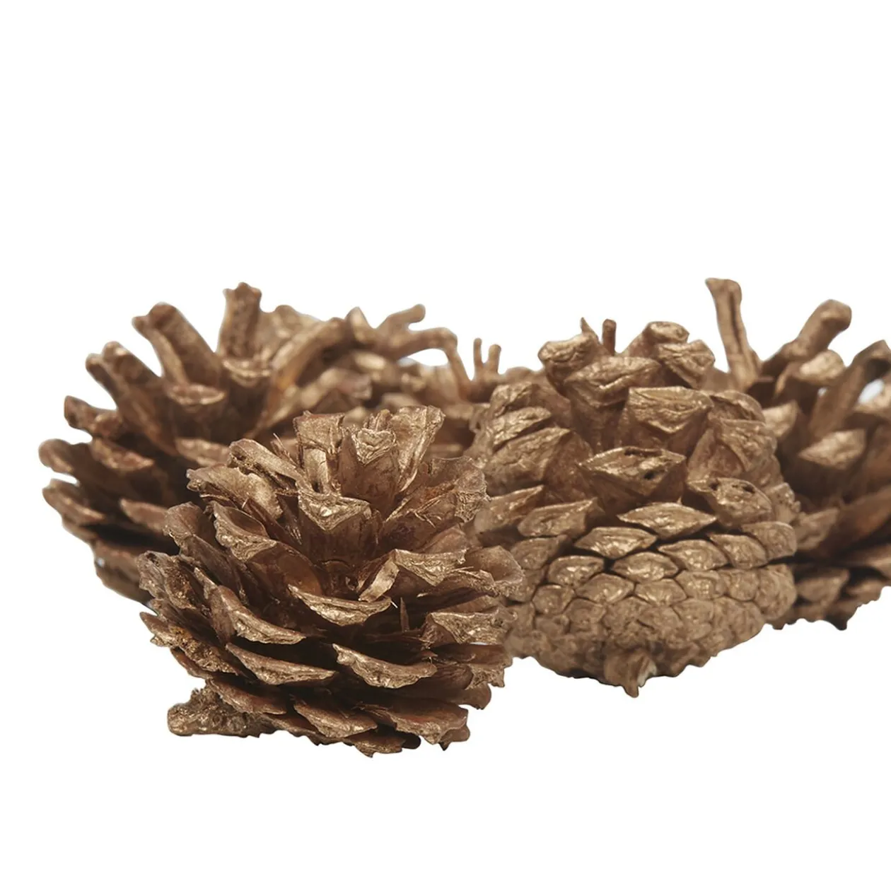 Décoration Pomme de pin naturelle à poser x 12