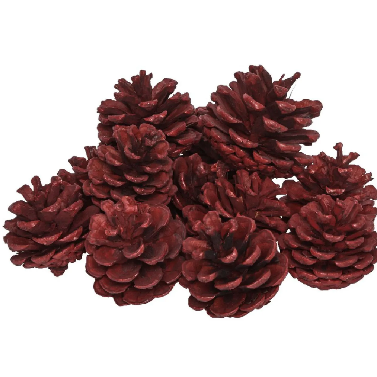 Décoration Pomme de pin rouge à poser x 12