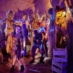 Déguisement adulte fermier assassin chemise et salopette taille unique