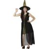 Déguisement femme sorcière