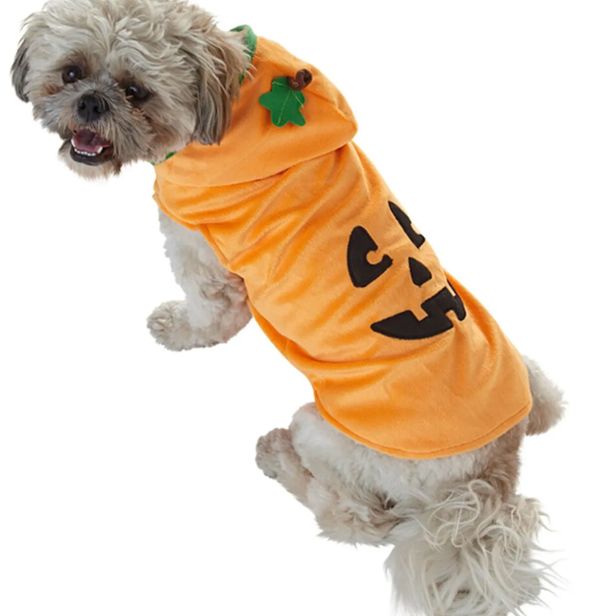 Déguisement pour chien citrouille
