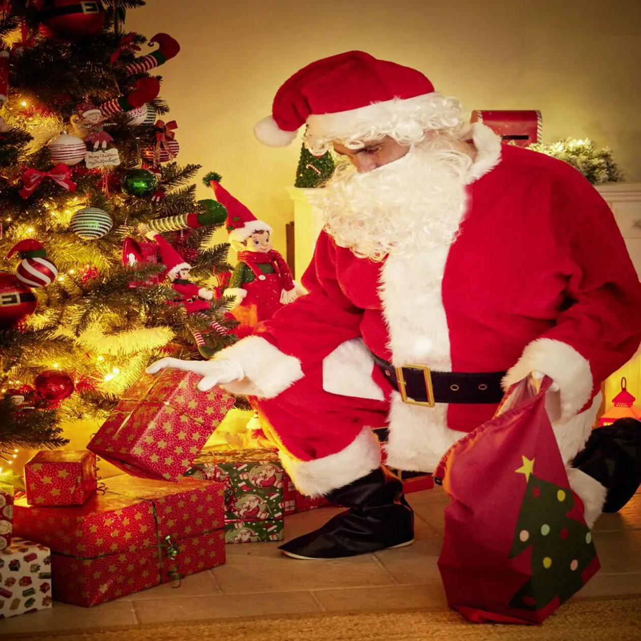 Déguisement Père Noël de luxe