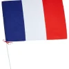 Drapeau France avec hampe en plastique