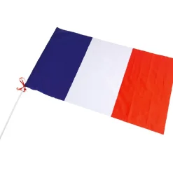 Drapeau France avec hampe en plastique