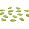 Galets décoratifs verts anis transparents