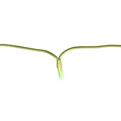 Guirlande électrique 50 led vert fixe L. 4,9 m