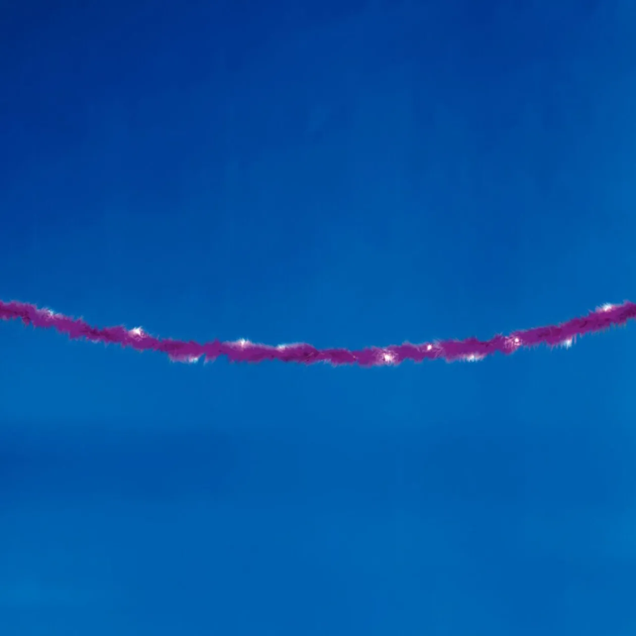 Guirlande électrique plume violette 1,9 m