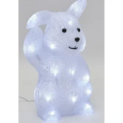 Lapin lumineux