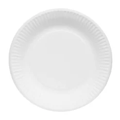Lot de 150 assiettes en carton blanc