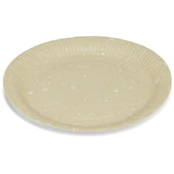 Lot de 8 assiettes motif dinosaures carton Ø23cm