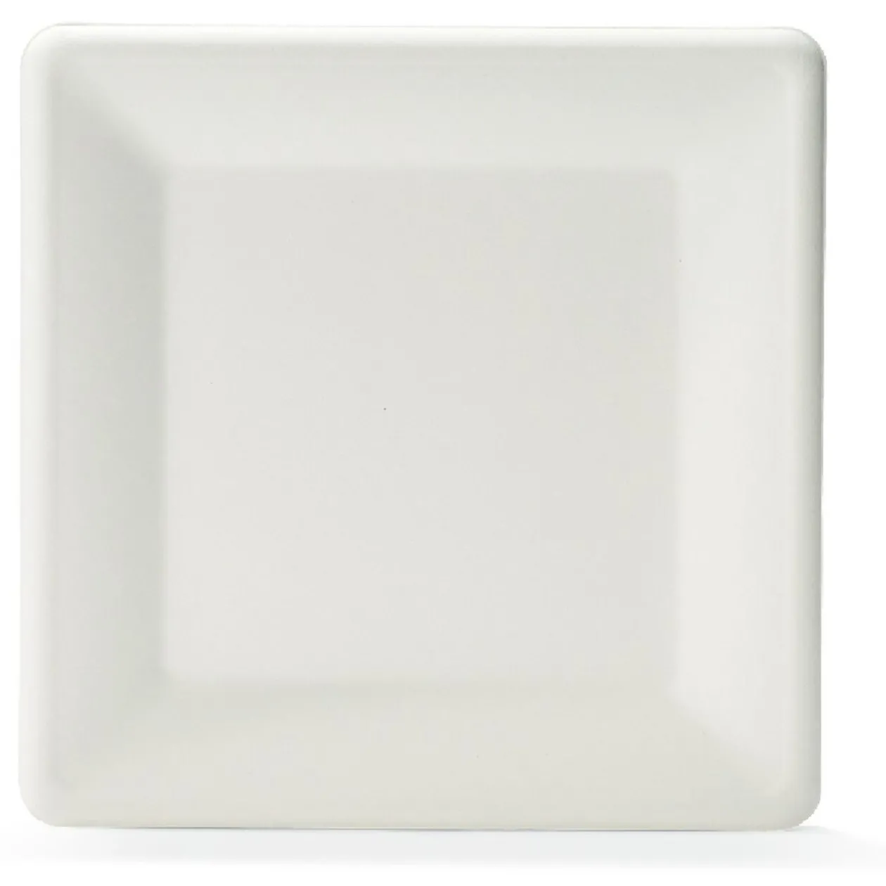 Lot de 12 assiettes plates carrées en canne à sucre