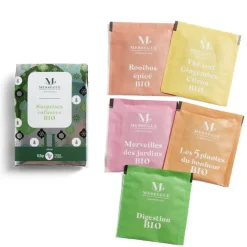 Lot de 5 infusettes Noël - modèle 1