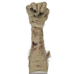 Main de momie animé