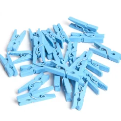 Mini pince bleue x24