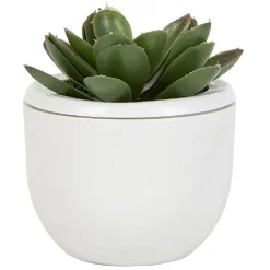 Mini plante décorative