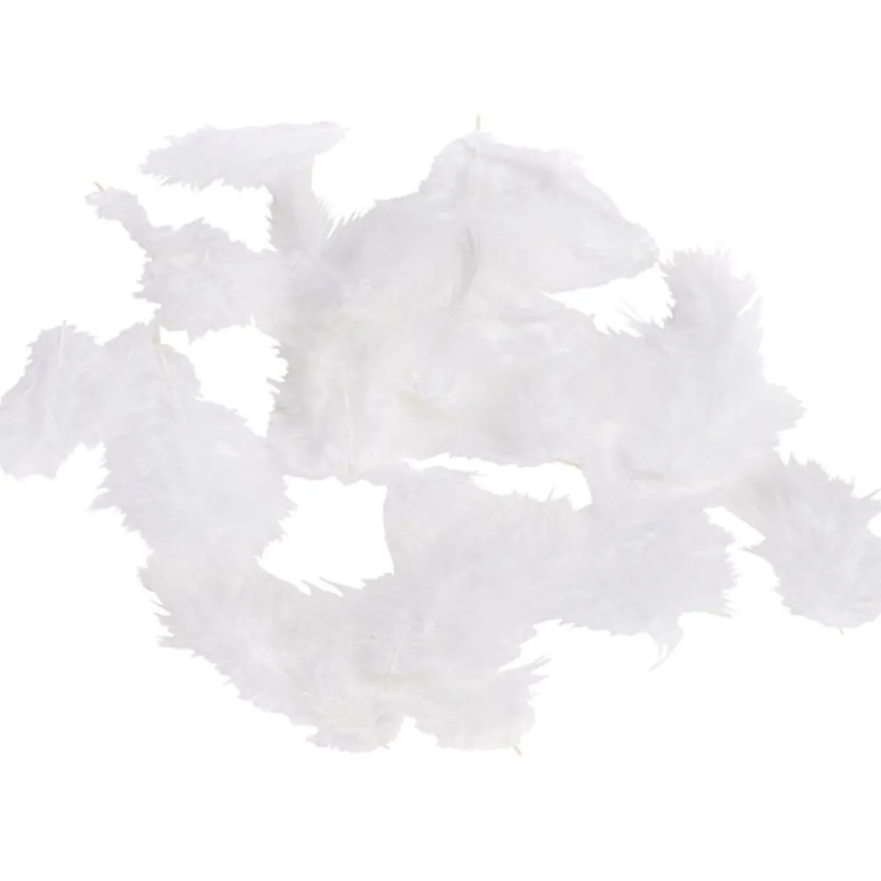 Mini plume blanche x35