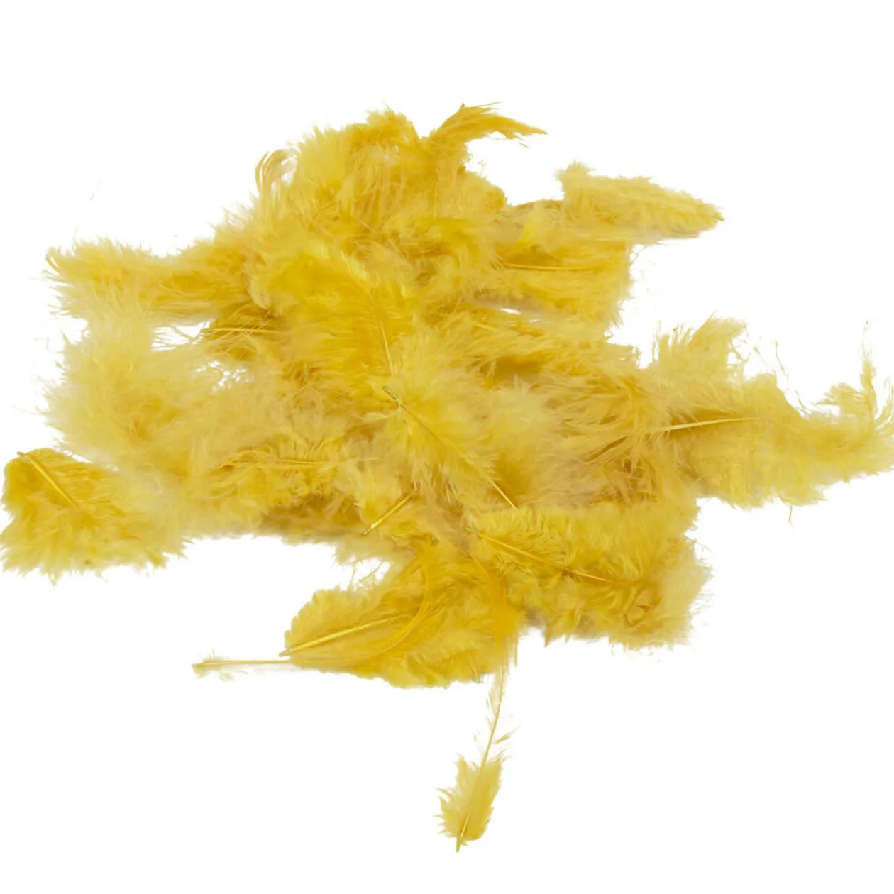 Mini plume dorée x35