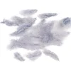 Mini plume grise x35