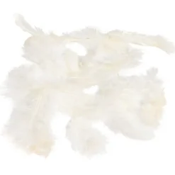 Mini plume ivoire x35