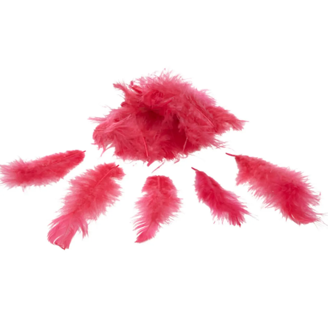 Mini plume rose fuchsia x35