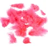 Mini plume rose fuchsia x35
