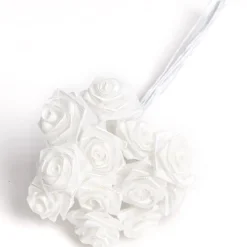 Mini rose ivoire x72