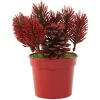 Mini sapin artificiel en pot rouge