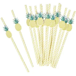 Paille en papier ananas x 16