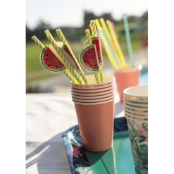 Paille en papier pastèque x 16