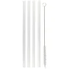 Paille en verre x4 et goupillon inox